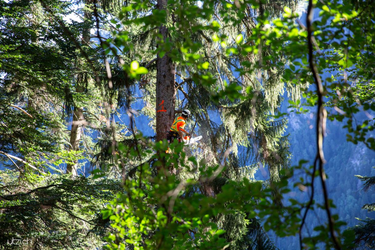 Fotoreportage Schweiz-UTZ_2619 Mit dem Helikopter hoch ins steile Berggelände bei Rhäzüns – Start der Fotoreportage Holzfällen Schweiz