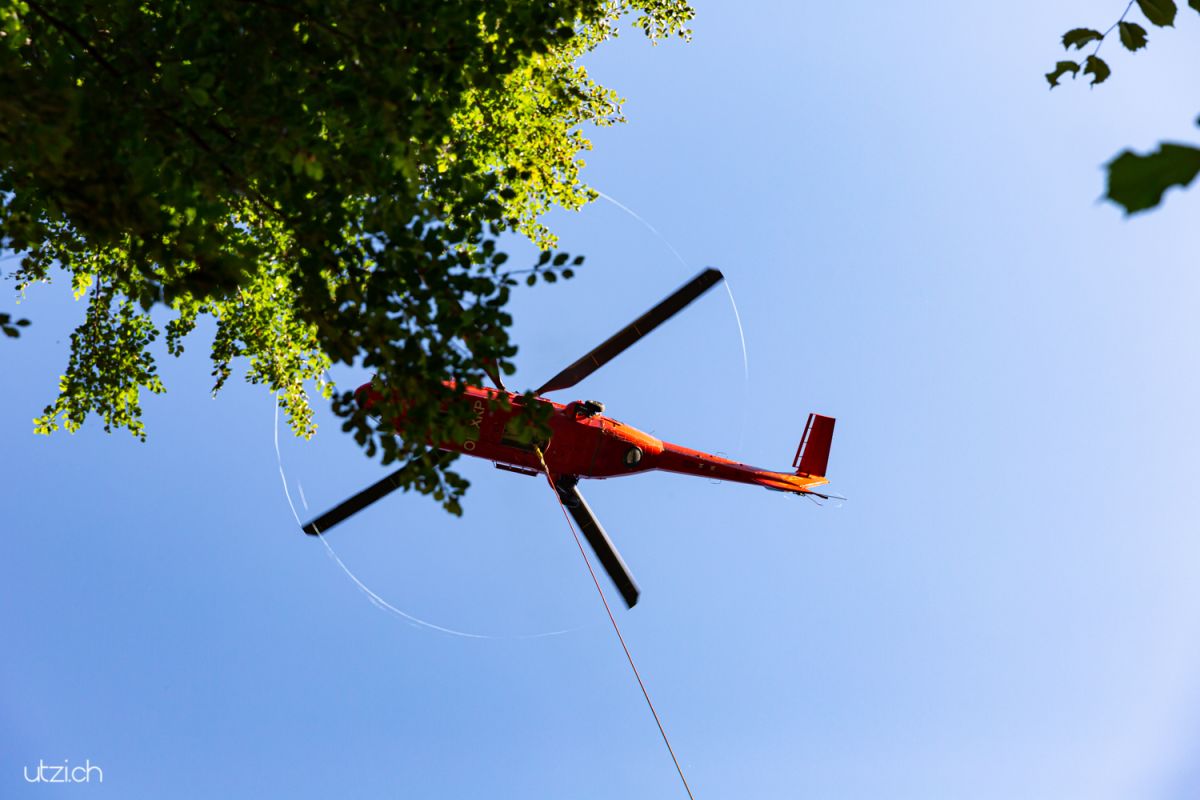 Fotoreportage Schweiz-UTZ_2812 Super Puma Helikopter hebt Baumstämme aus dem Wald bei Rhäzüns – spektakuläre Fotoreportage Schweiz