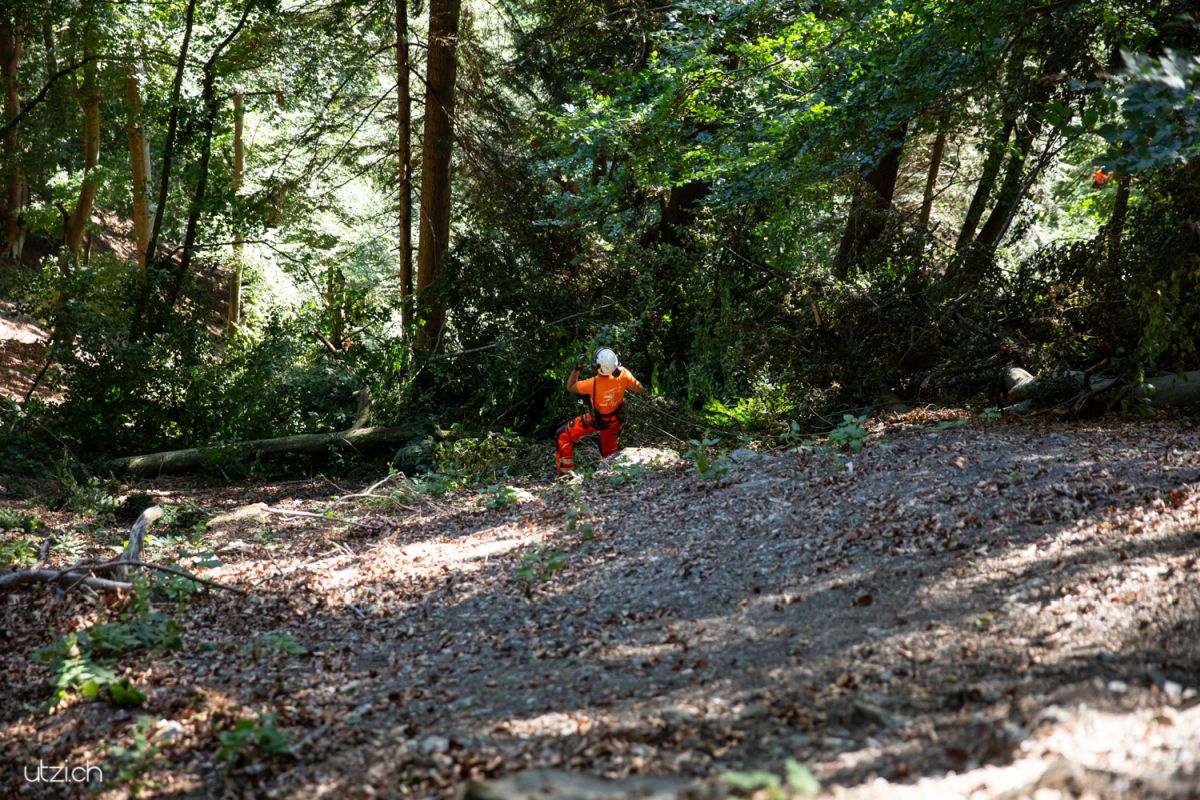 Fotoreportage Schweiz-UTZ_2874 Holzfäller im steilen Gelände oberhalb von Rhäzüns – Reportagefotografie beim Baumfällen in den Alpen.