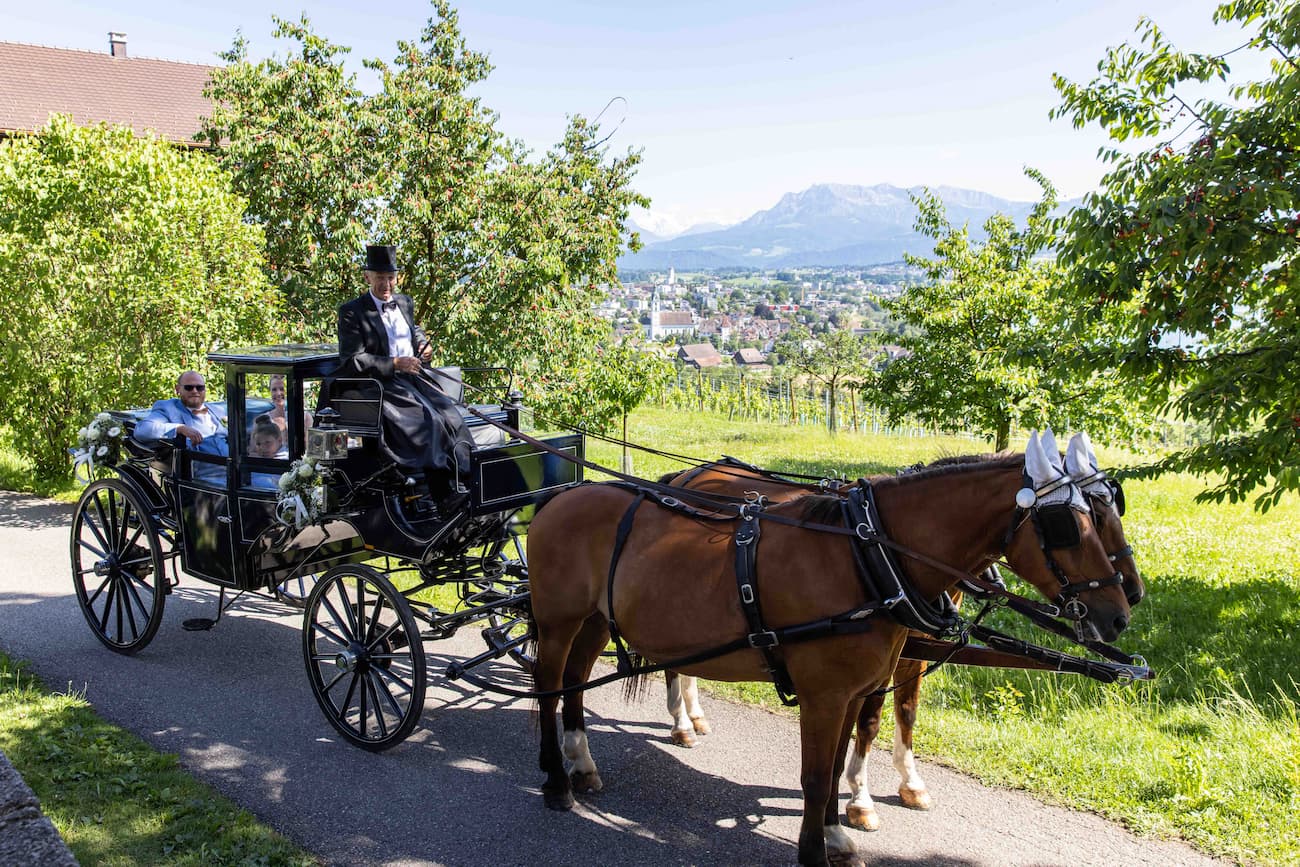 Hochzeit Schlachtkapelle Sempach-UTZ_0873 Hotel Sonne in Eich Hochzeitsfotos von Fotograf Zürich, Kutschenfahrt